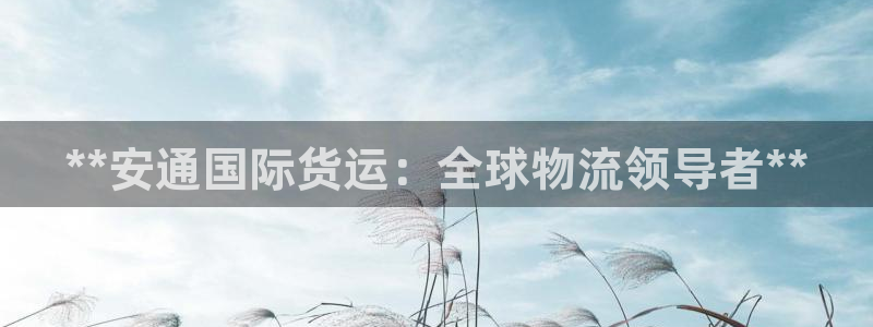 尊龙目前在哪：**安通国际货运：全球物流领导者**
