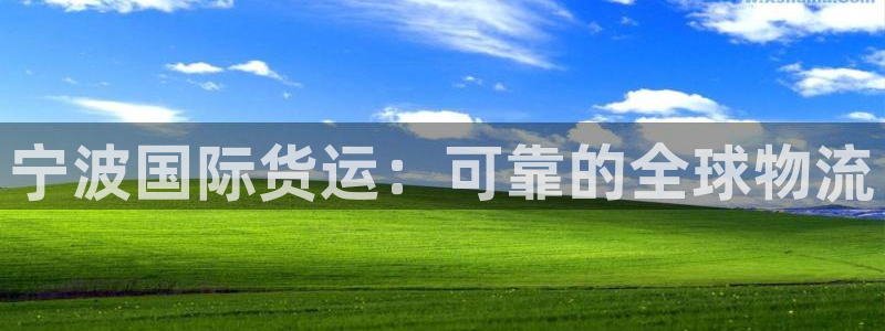 尊龙官网地址：宁波国际货运：可靠的全球物流