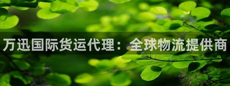 尊龙 下载：万迅国际货运代理：全球物流提供商
