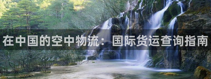 尊龙凯时不朽情缘：在中国的空中物流：国际货运查询指南