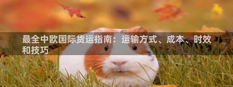 尊龙凯时怎么注销账号：最全中欧国际货运指南：运输方式、成