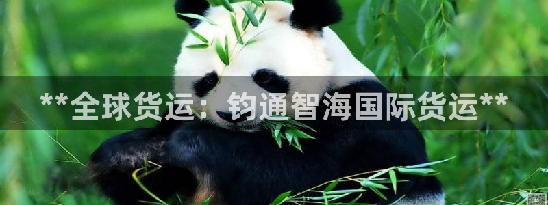 尊龙app登录不了：**全球货运：钧通智海国际货运**