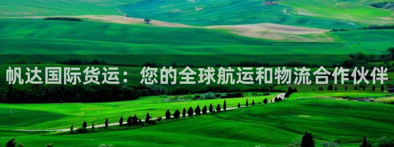 尊龙凯时 - 人生就是搏有假吗：帆达国际货运：您的全球航