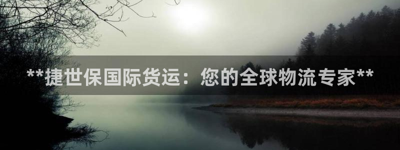 尊龙coming to my own：**捷世保国际货运