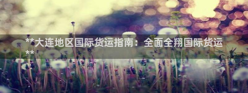 尊龙凯时充值不到账：**大连地区国际货运指南：全面全翔国