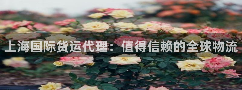 尊龙凯时平台有没有不到账的：上海国际货运代理：值得信赖的