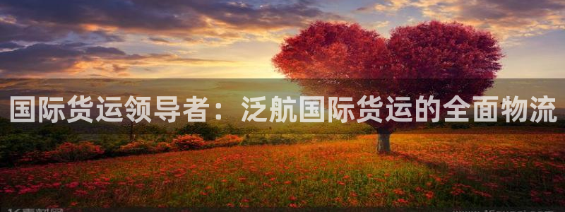 尊龙凯时官网首页：国际货运领导者：泛航国际货运的全面物流