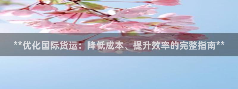 z6尊龙凯时旗舰厅首页：**优化国际货运：降低成本、提升
