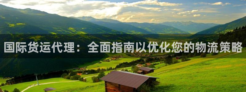 尊龙凯时 人生就是搏：国际货运代理：全面指南以优化您的物
