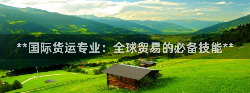 尊龙官网APP下载：**国际货运专业：全球贸易的必备技能
