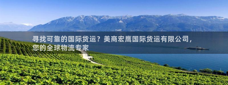尊龙人生就是博登陆：寻找可靠的国际货运？美商宏鹰国际货运