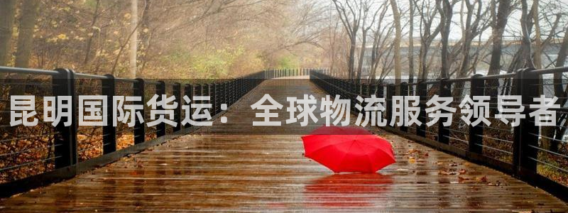 尊龙人生就是博登录网址下载：昆明国际货运：全球物流服务领