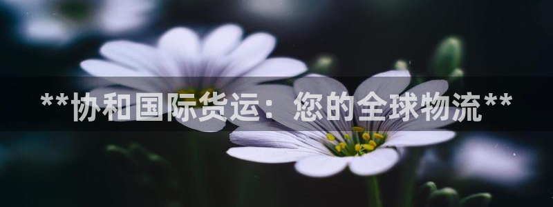 尊龙凯时取款不成功：**协和国际货运：您的全球物流**