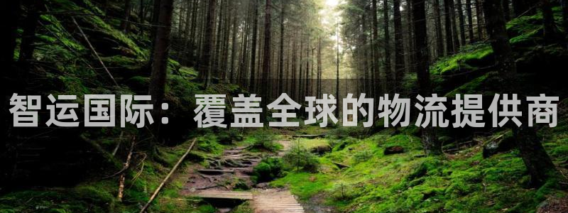 尊龙凯时 人生就是搏客服：智运国际：覆盖全球的物流提供商
