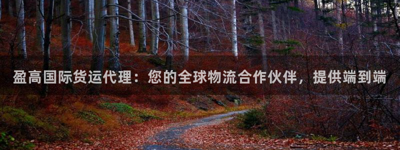 尊龙人生就是博旧版现金娱乐一下：盈高国际货运代理：您的全