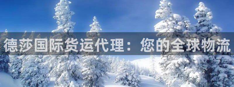 尊龙凯时怎么样没听说过：德莎国际货运代理：您的全球物流