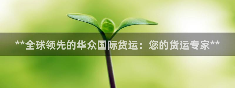 z6com尊龙凯时：**全球领先的华众国际货运：您的货运