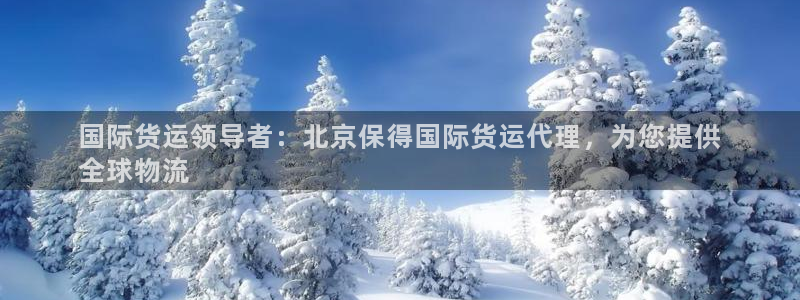 尊龙d88手机app免费下载：国际货运领导者：北京保得国