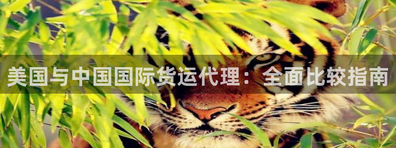 尊龙凯时 人生就是搏!平台：美国与中国国际货运代理：全面