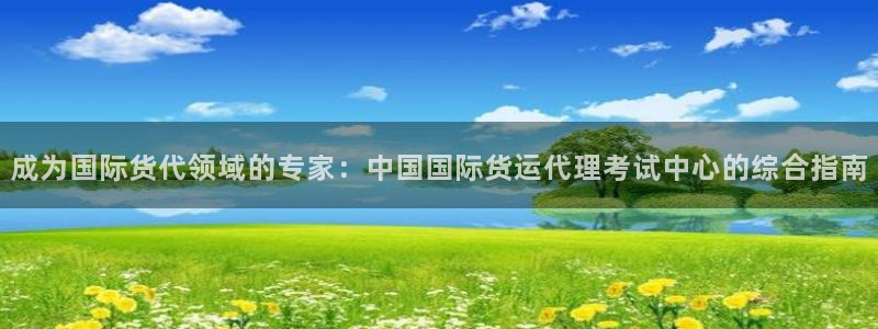 尊龙z6.con：成为国际货代领域的专家：中国国际货运代