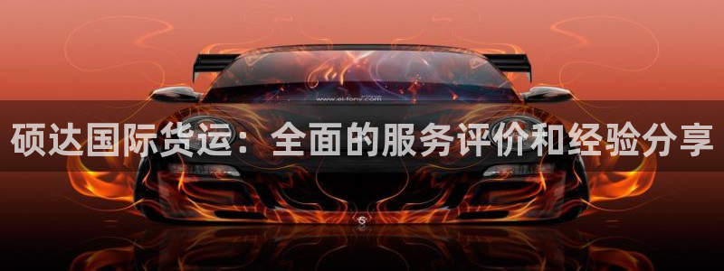 尊龙凯时登陆：硕达国际货运：全面的服务评价和经验分享