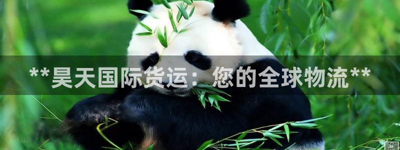 尊龙ag旗舰官网：**昊天国际货运：您的全球物流**