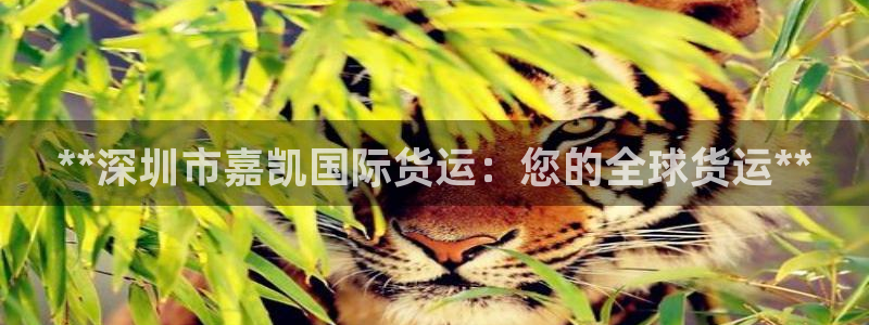 尊龙凯时始人生就是博：**深圳市嘉凯国际货运：您的全球货