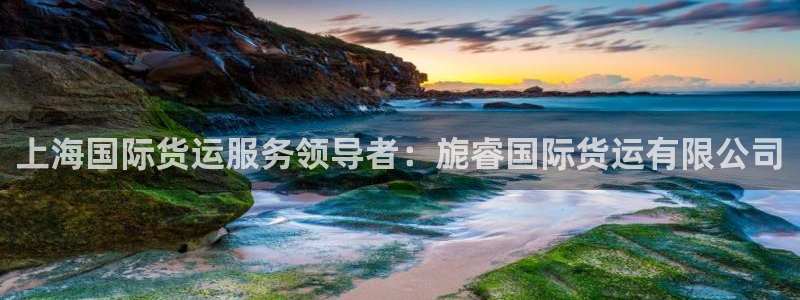 尊龙官方app下载：上海国际货运服务领导者：旎睿国际货运