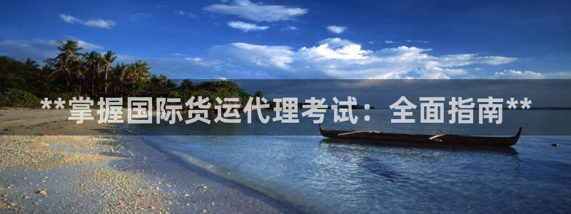尊龙d88现金 旧版本可靠送38元：**掌握国际货运代理