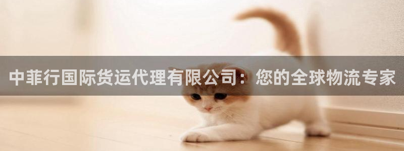 尊龙凯时登陆网址：中菲行国际货运代理有限公司：您的全球物