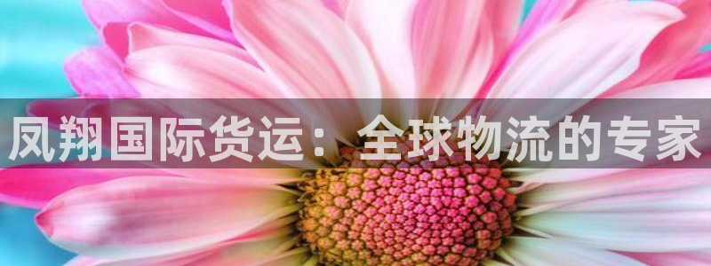 尊龙凯时ag旗舰厅官网客服：凤翔国际货运：全球物流的专家