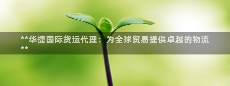 尊龙官网网页版：**华捷国际货运代理：为全球贸易提供卓越