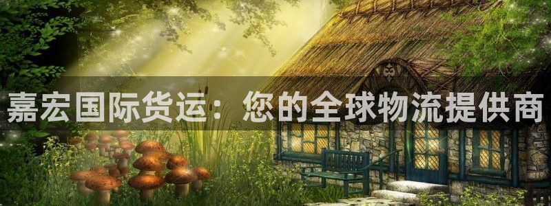 尊龙凯时-人生就是博中国官网首页：嘉宏国际货运：您的全球