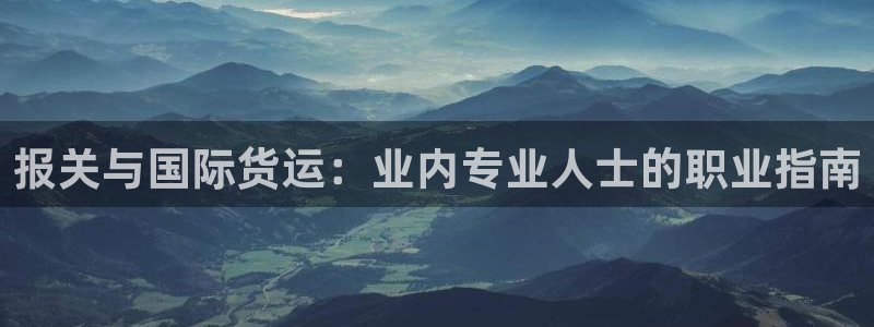 尊龙凯时的最新消息：报关与国际货运：业内专业人士的职业指