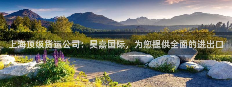 尊龙z6平台：上海顶级货运公司：昊嘉国际，为您提供全面的