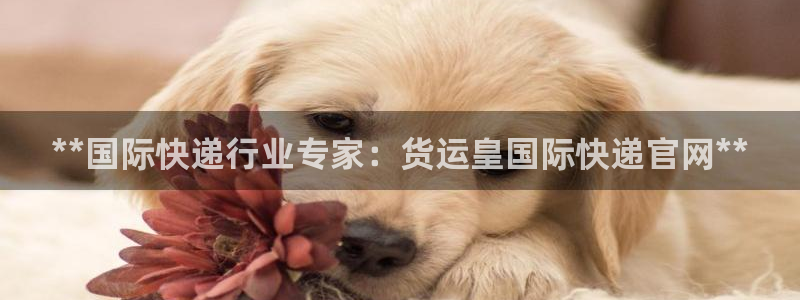 尊龙物流官网：**国际快递行业专家：货运皇国际快递官网*