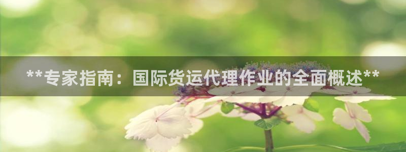 尊龙休闲e站怎么样：**专家指南：国际货运代理作业的全面