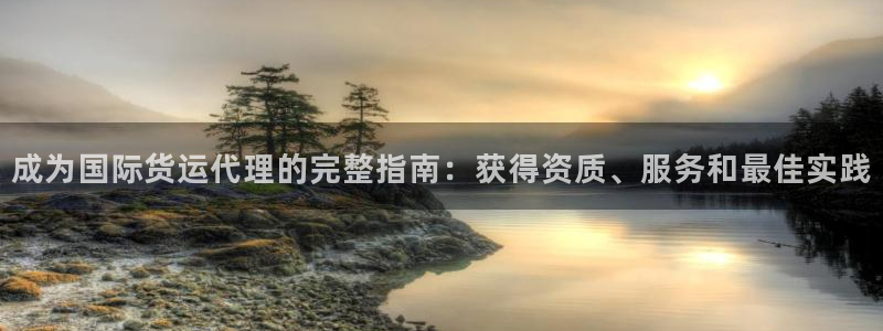 尊龙t400和尊龙t300区别：成为国际货运代理的完整指