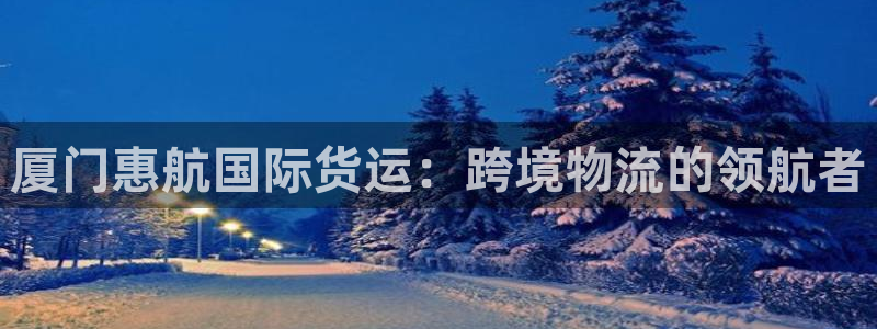 尊龙d88平台：厦门惠航国际货运：跨境物流的领航者