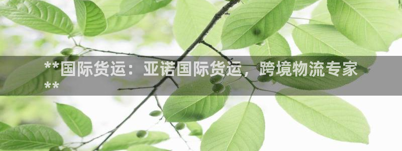 尊龙人生就是博手机版下载：**国际货运：亚诺国际货运，跨