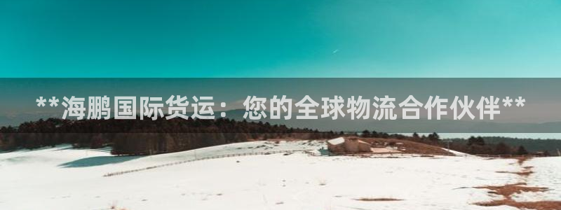 尊龙凯时取钱很慢：**海鹏国际货运：您的全球物流合作伙伴