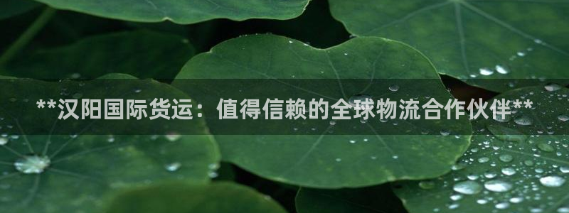 尊龙app登录不了：**汉阳国际货运：值得信赖的全球物流