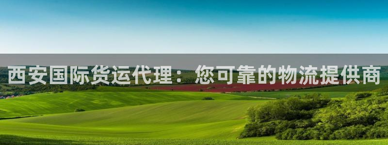 尊龙电子：西安国际货运代理：您可靠的物流提供商