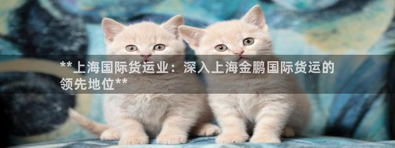 尊龙ag旗舰厅下载：**上海国际货运业：深入上海金鹏国际