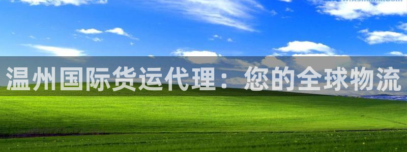 尊龙专访：温州国际货运代理：您的全球物流
