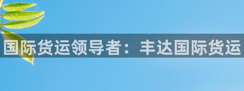 尊龙凯时有封银行卡的吗：国际货运领导者：丰达国际货运