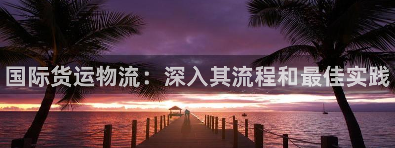 尊龙凯时白家乐：国际货运物流：深入其流程和最佳实践