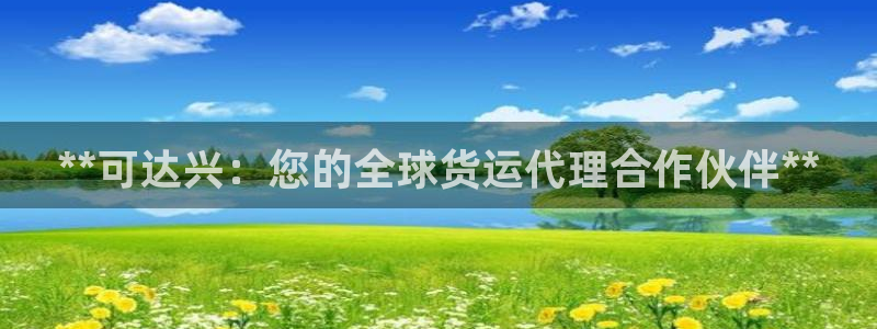 尊龙软件下载：**可达兴：您的全球货运代理合作伙伴**