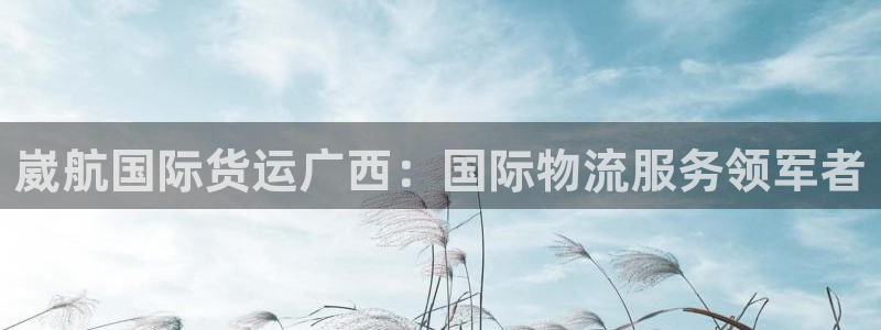 尊龙人生就是博登录准认来就送38：崴航国际货运广西：国际