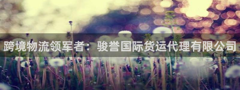 尊龙凯时福米推荐人：跨境物流领军者：骏誉国际货运代理有限